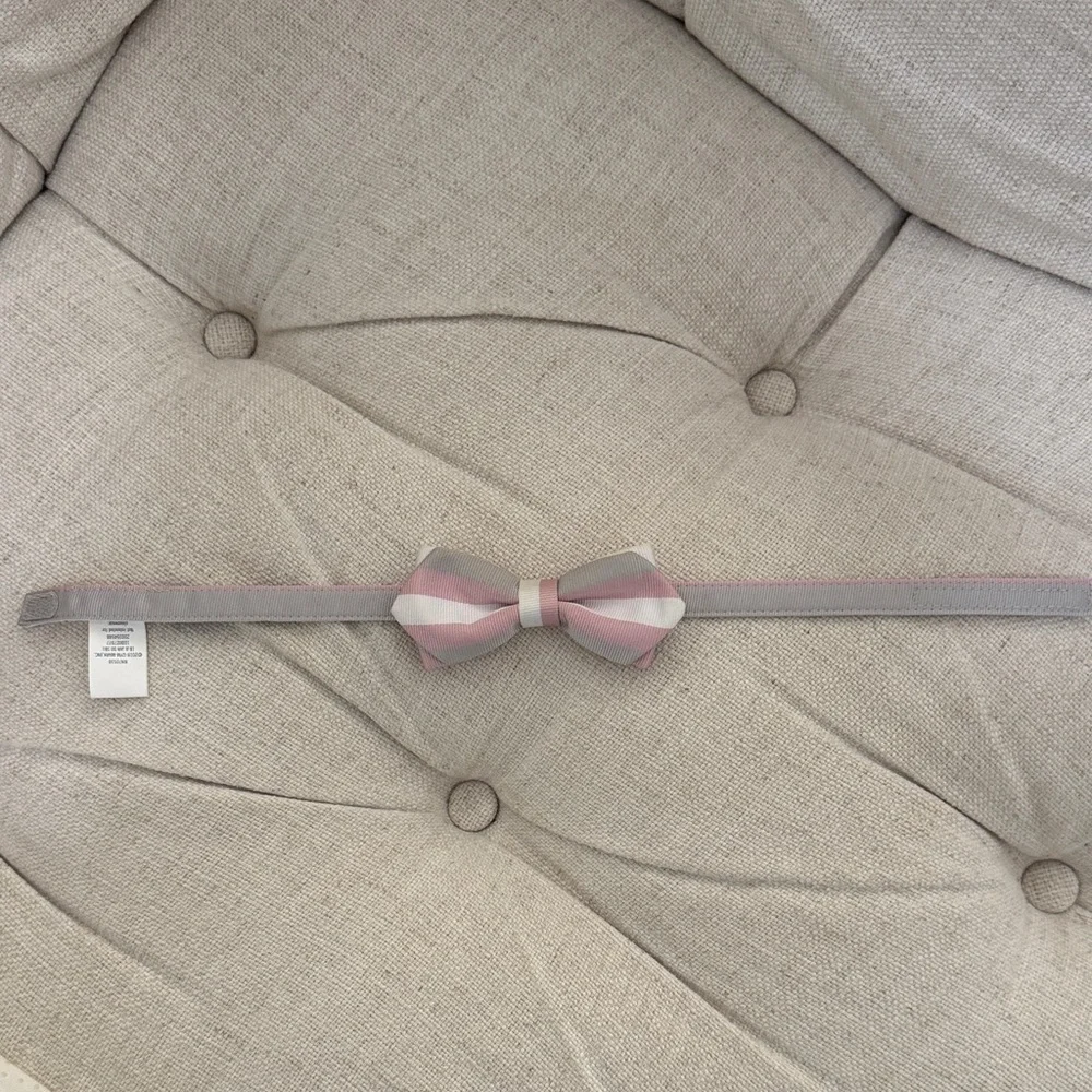 Janie and Jack Pink and Gray Striped Bow Tie